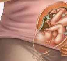 38 Tjedana trudnoće: dijete aktivno kreće noć