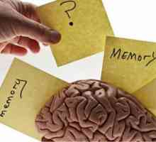 6 Zabavnih načina za jačanje svoje pamćenje