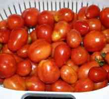Znate li kako se marinirati rajčice u banci?