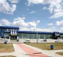 Vladikavkaz Zračna luka: povijest, opis infrastrukture