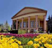 Akademska Kazalište Drama, Stavropol: povijest, repertoar i recenzije