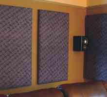 Akustična ploča: Prednosti, mogućnosti i montaža primjena