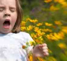 Alergijski rinitis kod djeteta: kako postupati