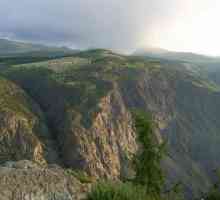 Altai Reserve - vrhunac Altai teritorija