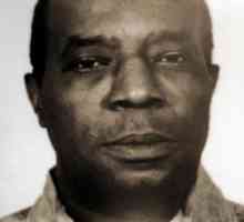 Američki crni gangster i kriminal šef Ellsworth Johnson: biografiju, aktivnosti, povijest i…
