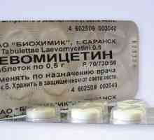 Analogni „kloramfenikol” proljev (tablete). „kloramfenikol”…