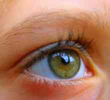 Angiopatija mrežnica očiju: uzroci, simptomi i tretman metode