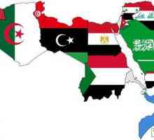 Arapske zemlje. Palestina, Jordan, Irak