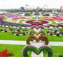 Arapska svjetsko čudo: Cvjetni park u Dubaiju
