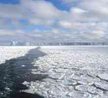 Arctic mora pranje Rusiju