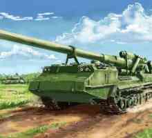 Topnički „Božur”. Sau 2S7 "Pion" 203 mm - samohodno topništvo