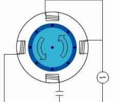 Asinkroni jednofazni motor jedinica i njegova veza