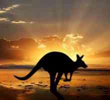 Australija, zanimljivosti - najviših planina, najveća rijeka i najopasnijih životinja u Australiji