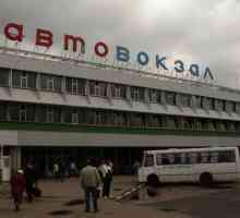 Autobusni kolodvor „Shchelkovo” - jedini autobusni kolodvor u Moskvi