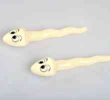 Sperma bakposev: indikacije, pripremu isporuke, dekodiranje
