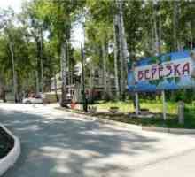 Rekreacijski centar „Breza” (Uvildy, Čeljabinsk Regija) - fotografije i…