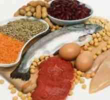 Proteinske hrane - to je ono kategorija proizvoda? Njegove prednosti i štete