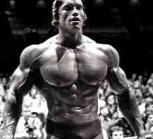 Biografija Arnold Schwarzenegger - poznati glumac i bodybuilder