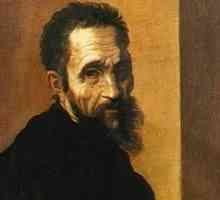 Biografija Michelangela, veliki umjetnik renesanse