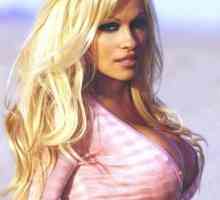 Biografija: Pamela Anderson - seks diva ili vjerna žena?