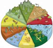 Biološka raznolikost. Koji uključuje klima-tlo stanište?