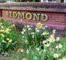Blender "Redmond": mišljenja. Značajke, cijene, fotografije