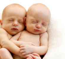 Bratski blizanci i identične: razlike