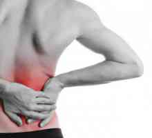 Bolovi u leđima: simptomi, liječenje, prevencija