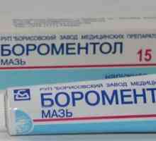 Boromentolovaya mast: upute za korištenje lijekova mišljenja