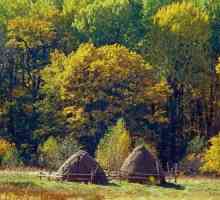 „Brjansk šuma” - rezervatom biosfere UNESCO-a