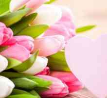 Buketi od tulipana na 8. ožujka - savršen poklon za ženu