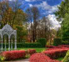 Bjeloruski Središnja Botanički vrt. Minsk domaćini