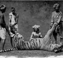 Champawat Tigar - zvijer-ubojica, je stvorio puno noćnih mora