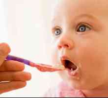 Što hraniti bebu u 9 mjeseci. Prehrana djeteta u 9 mjeseci