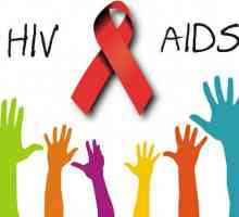 Koja je razlika između HIV-a i AIDS-a. O tome kako prepoznati simptome HIV-u, AIDS