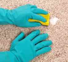 Kako očistiti tepih kod kuće? Glavni načini