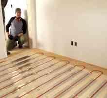Topla katu u drvenoj kući: Materijal i metode