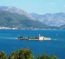 Crna Gora, Kamelia 2 *: fotografije, cijene i recenzije