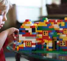 Što može biti izgrađen od „Lego”? Ideje i opcije