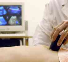 Što i kako učiniti ultrazvuk trbuha?