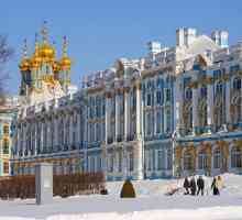 Što vidjeti i gdje otići u St. Petersburgu u zimi?