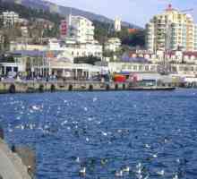 Što vidjeti u Yalta? Yalta: izleti. Jalta „progutati gnijezdo”