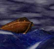 Što je arka? Mitovi i realnosti u priči poplava