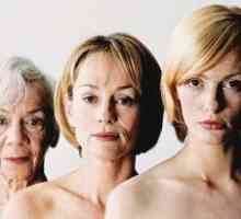 Što je menopauza ili klimakterij?