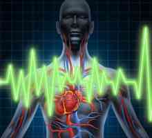 Što je svakodnevno praćenje EKG Holter?
