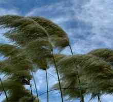 Što je vjetar i kako se formira