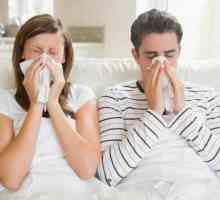 Što biste trebali znati o virusu gripe?