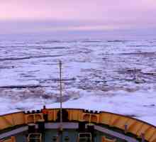 Čukotsko more - bivši Beringia