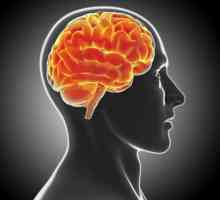 Demijelinizacijske bolesti mozga: liječenje, prognoze i simptomi