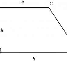 Dijagonalni jednakostraničan u obliku trapeza. Što je srednja linija trapeza. Vrste trapeza. Trapez…